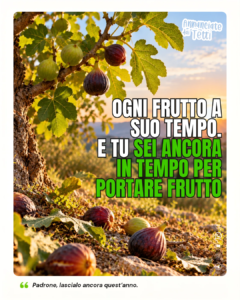 InstaVangelo del 24/10/2026